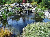 Japanese Water Garden Designs