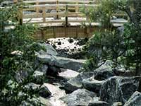 Japanese Water Garden Designs & Japanese Koi Pond design