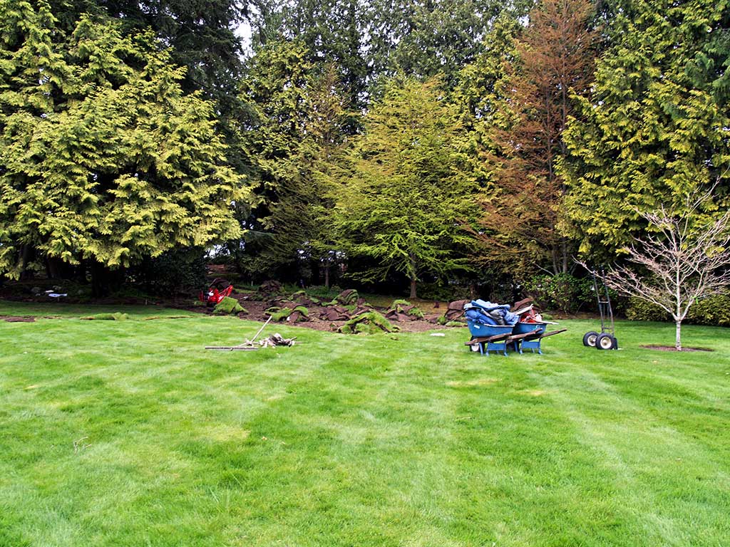 Removing the lawn.