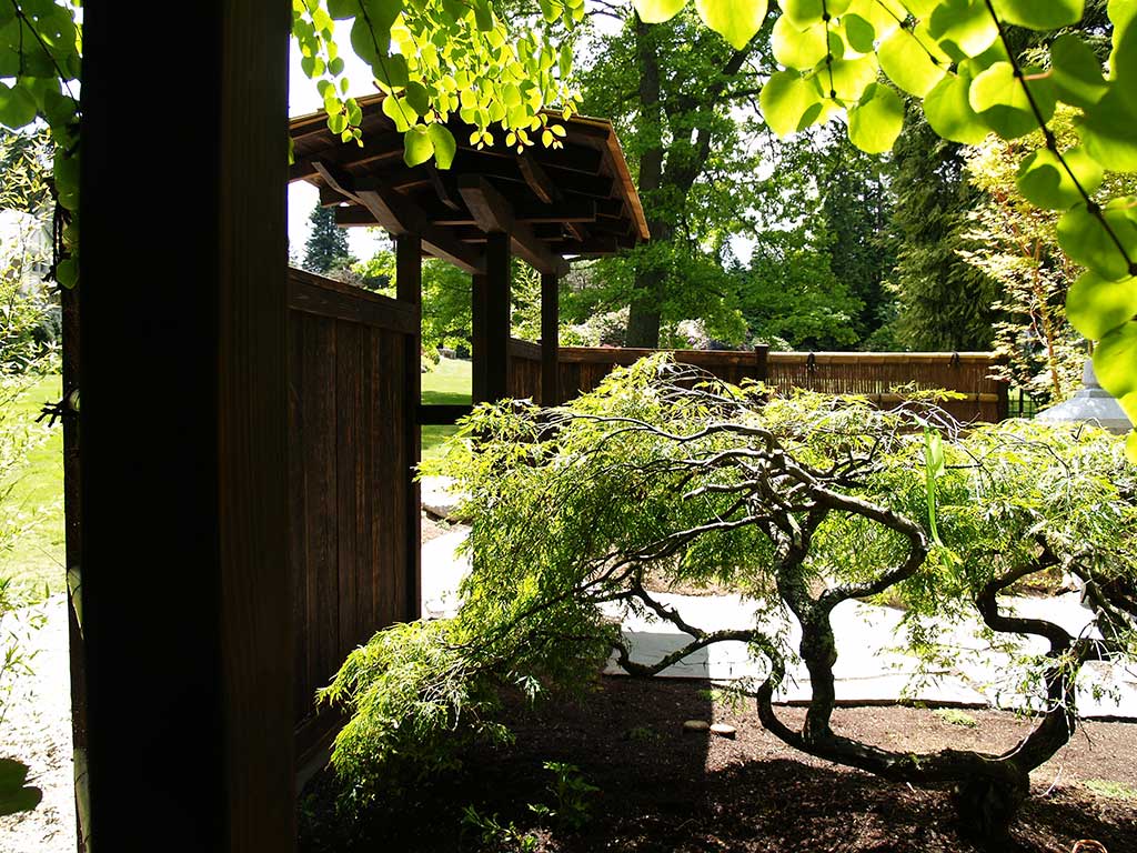 Inside look at the Japanese garden wood gate .
