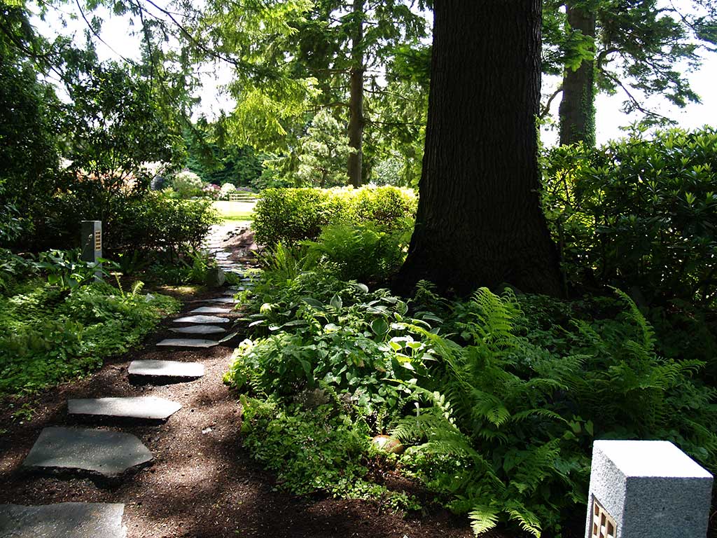 Peaceful walkway through the garden.