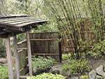 Japanese Garden Wooden Gate