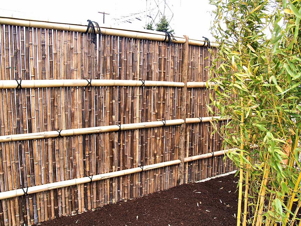 Bamboo Fencing Bamboo fence that surrounds the garden.